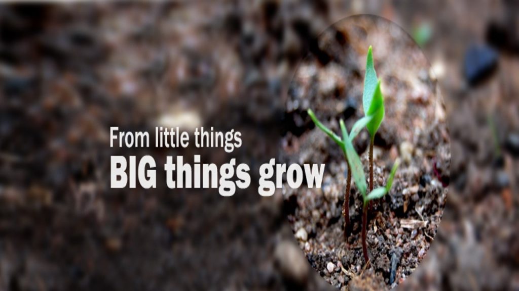 From little things big things grow